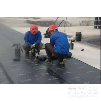 深圳 