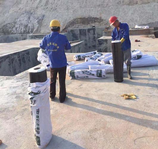防水工程》,受其委托进行 阳光城整体防水建设: 广西致远防水施工标准