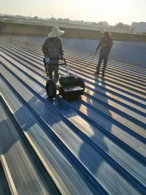 泰州市彩钢瓦防水防腐翻新专业施工 经验丰富