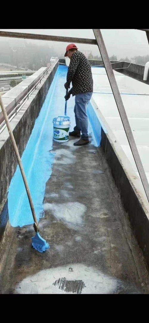 【南京栖霞区靠谱的防水免费咨询】- 