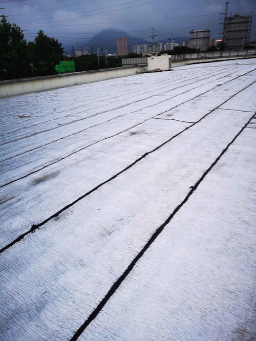 无锡市防水公司一滨湖区防水补漏公司专业施工团队